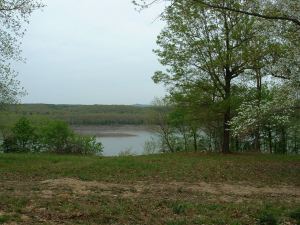 2003_0415_151408aa 2003_0415_151408aa