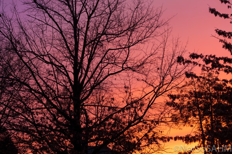 Rainbow Sky in Arlington, VA  Not So SAHM