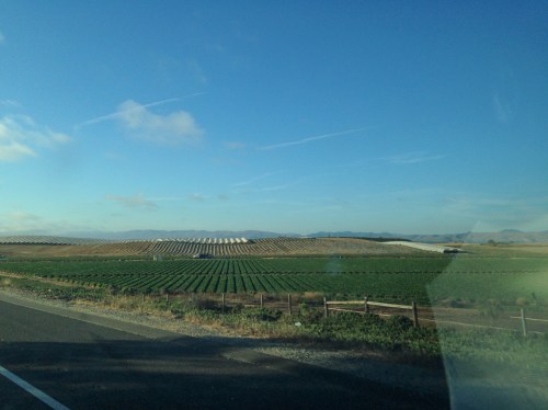 Farmland on the PCH