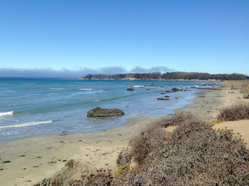 beautiful view of the Pacific along the PCH