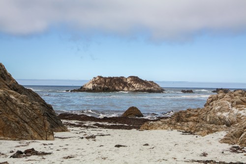 Seal Point on 17 Mile Drive in Pebble Beach CA Not So SAHM
