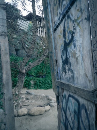 Making a yard out of a wasteland in Tijuana Dump Town  Not So SAHM