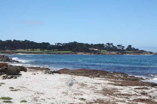 Vista along 17 Mile Drive in Pebble Beach Not So SAHM