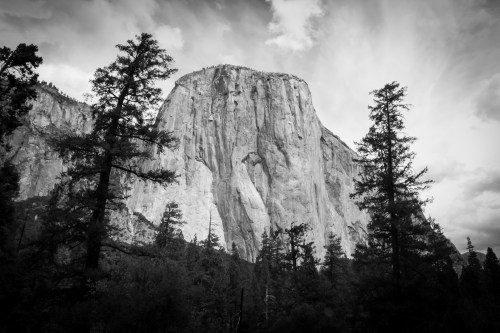 El Capitan framed by two trees Yosemite Valley black and white Not So SAHM