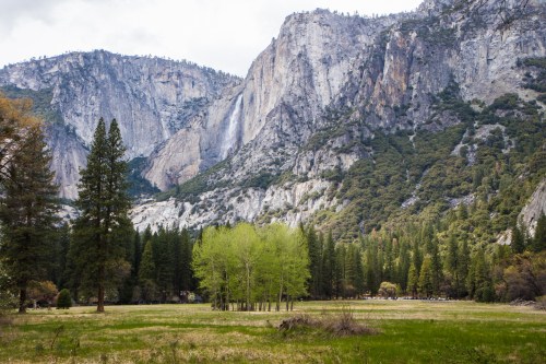 Yosemite Valley Meadow with waterfall Not So SAHM
