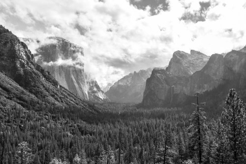 Tunnel View of El Capitan Yosemite Valley black and white Not So SAHM