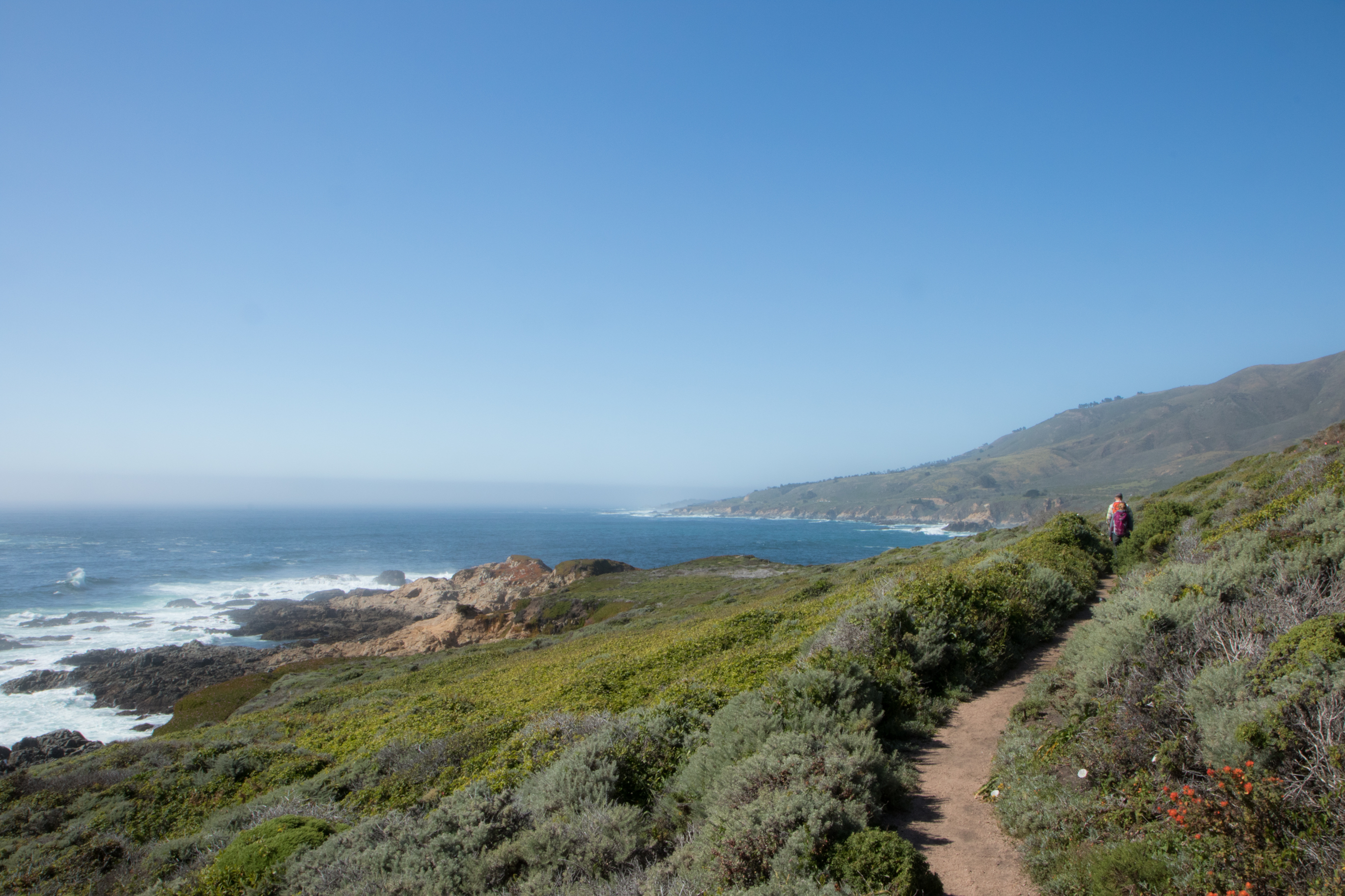 Pathway along the Pacific Coast Highway Big Sur Not So SAHM