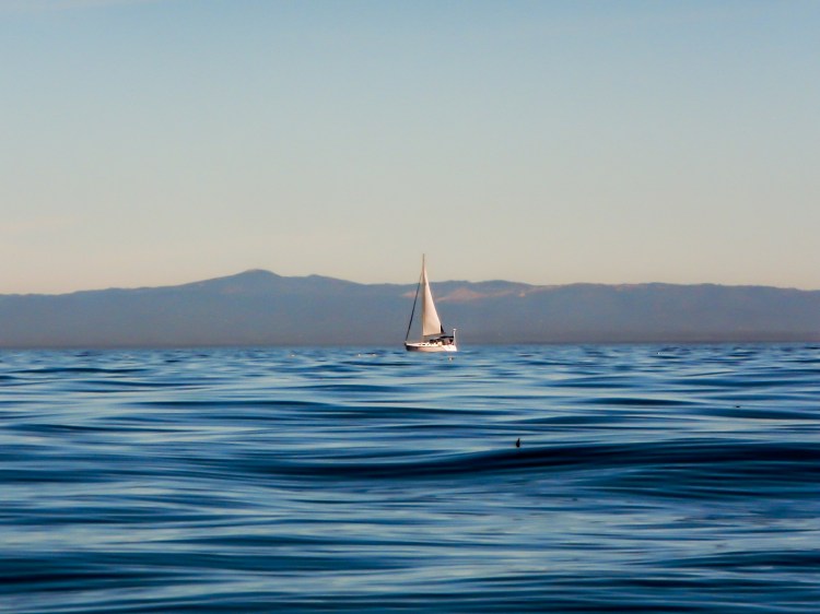 Sail boat on calm waters in Monterey Bay Not So SAHM