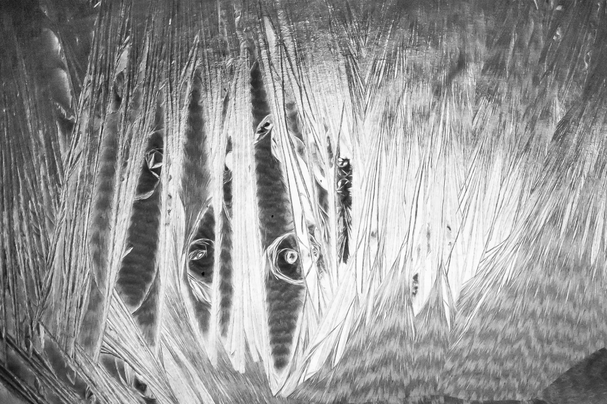 Close up abstract of a plastic lamp shade Not So SAHM