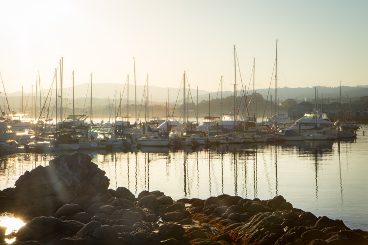 Sunset over boats in the Monterey Bay harbor NotSoSAHM