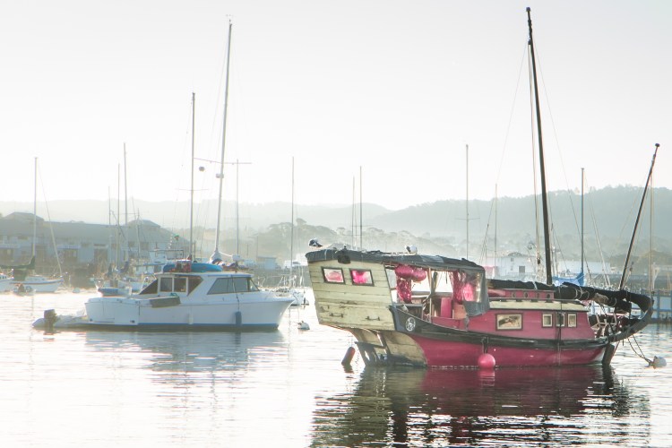 A chinese junk boat sits in the Monterey Bay Harbor in Monterey California NotSoSAHM