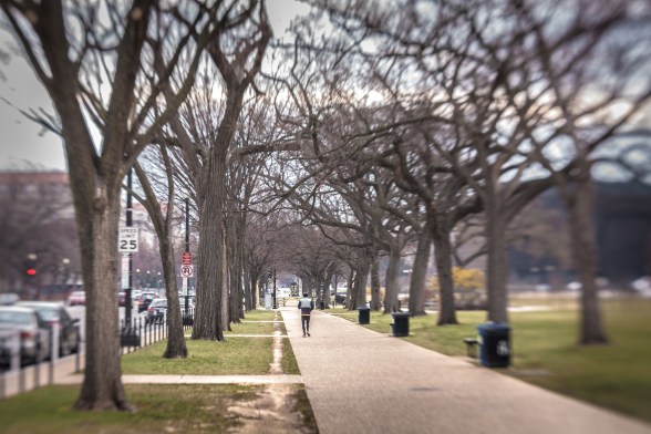 A man jogs down the sidewalk of the National Mall LensBaby Spark NotSoSAHM