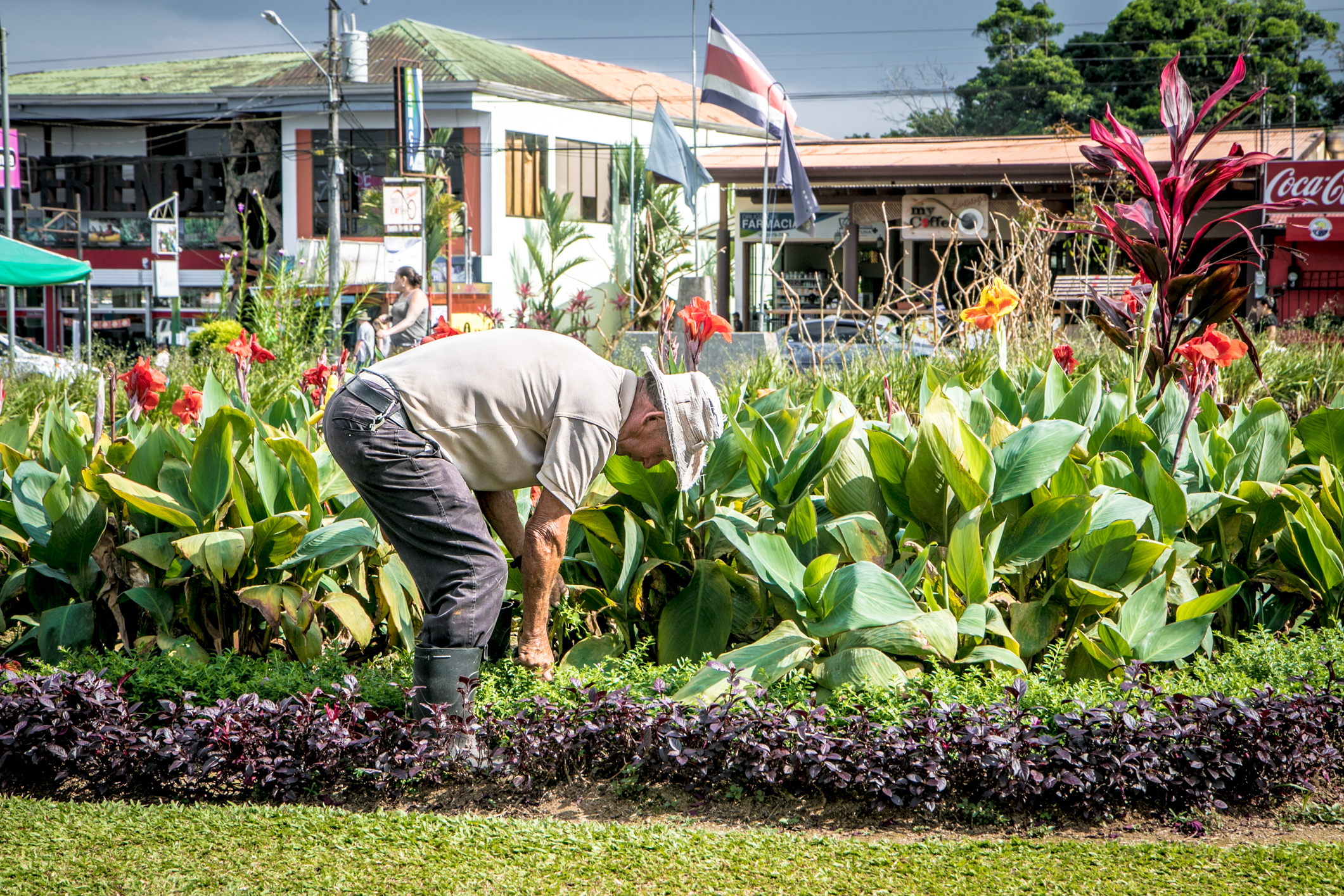 A man tends the public flower beds in the city center square in La Fortuna, Costa Rica NotSoSAHM