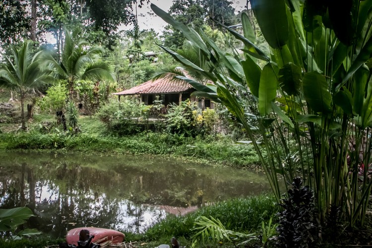 A cabin sits in the jungle of a spice farm in the Manuel Antonio area of Costa Rica NotSoSAHM