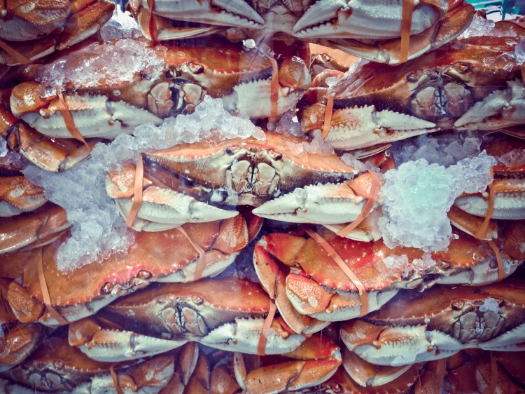 Crabs packed in ice waiting to be chosen and eaten in Monterey, California NotSoSAHM