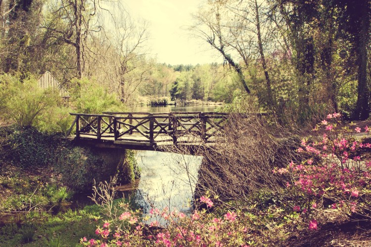 A small, wooden bridge over a lake in the serene woods around Biltmore, Asheville NC NotSoSAHM
