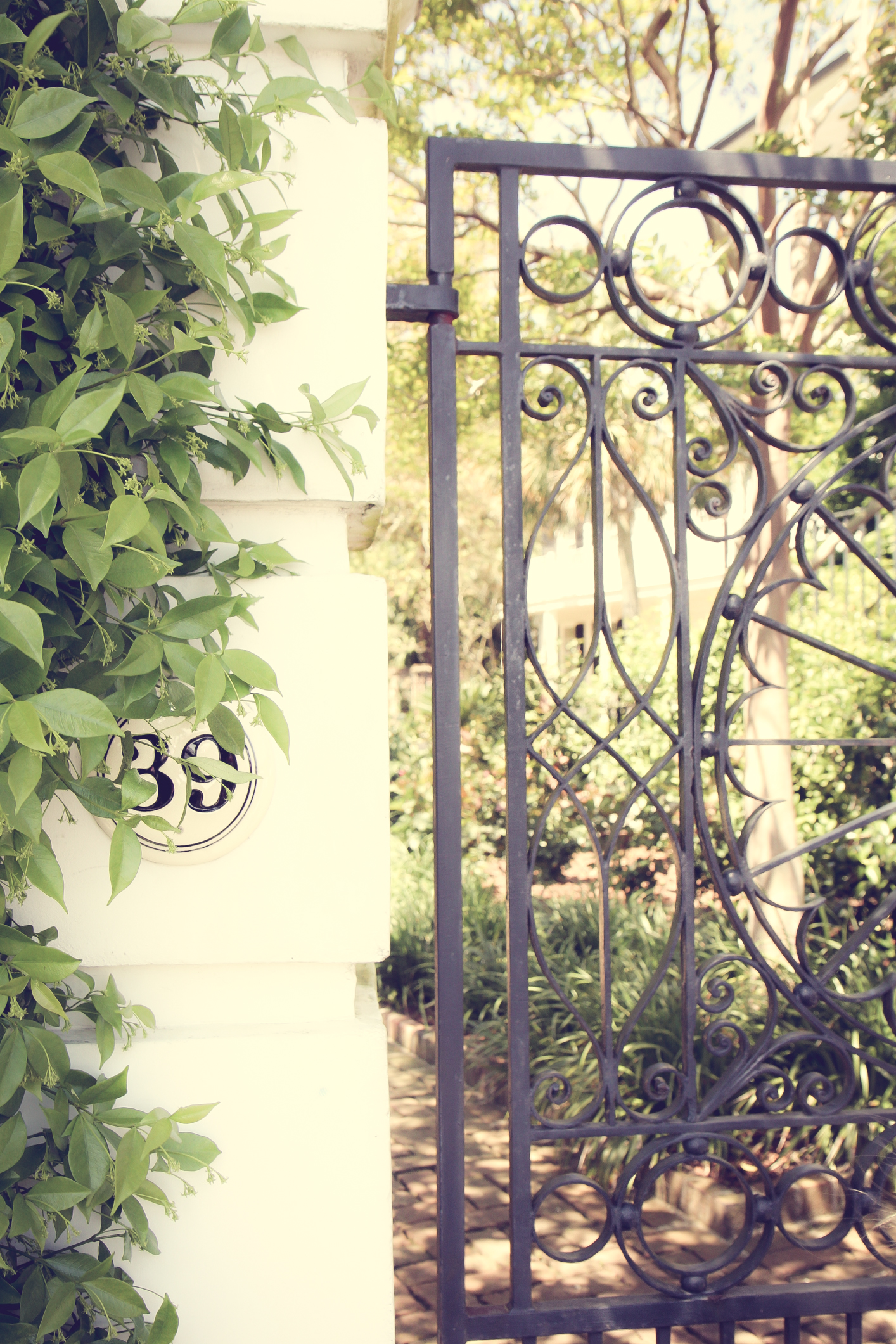 Charleston has beautiful gates. NotSoSAHM