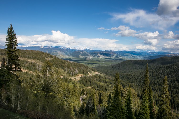 Beautiful green valley in Wyoming looking towards Jackson Hole NotSoSAHM