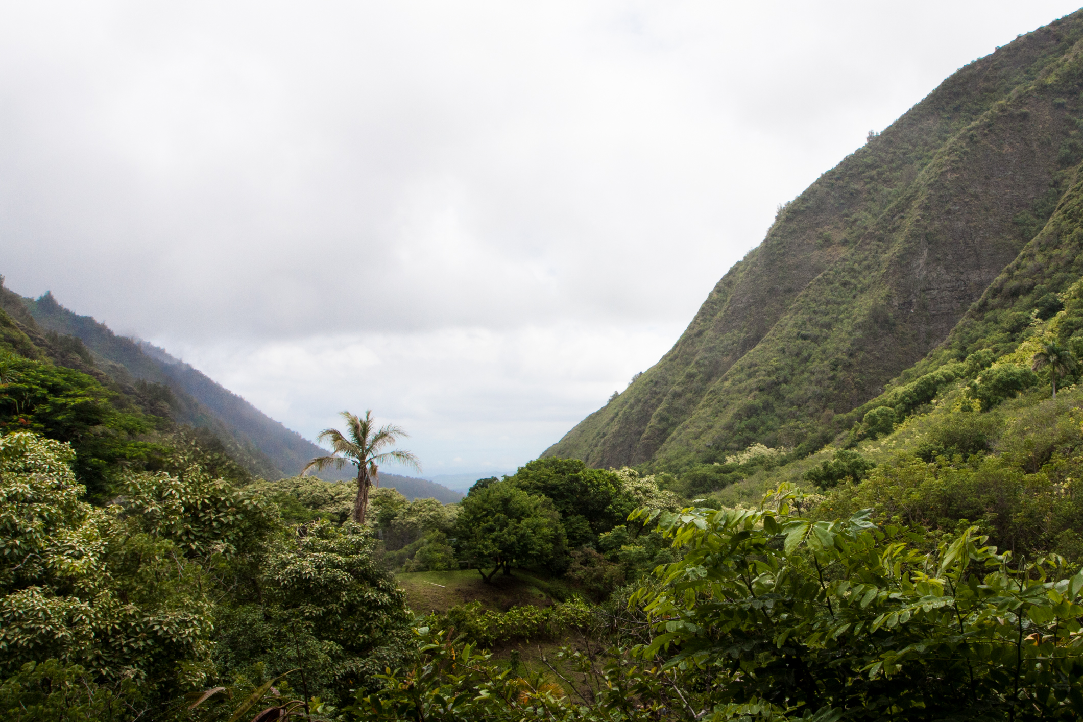 Clouds cover the lush, green Iao Valley on the island of Maui Not So SAHM