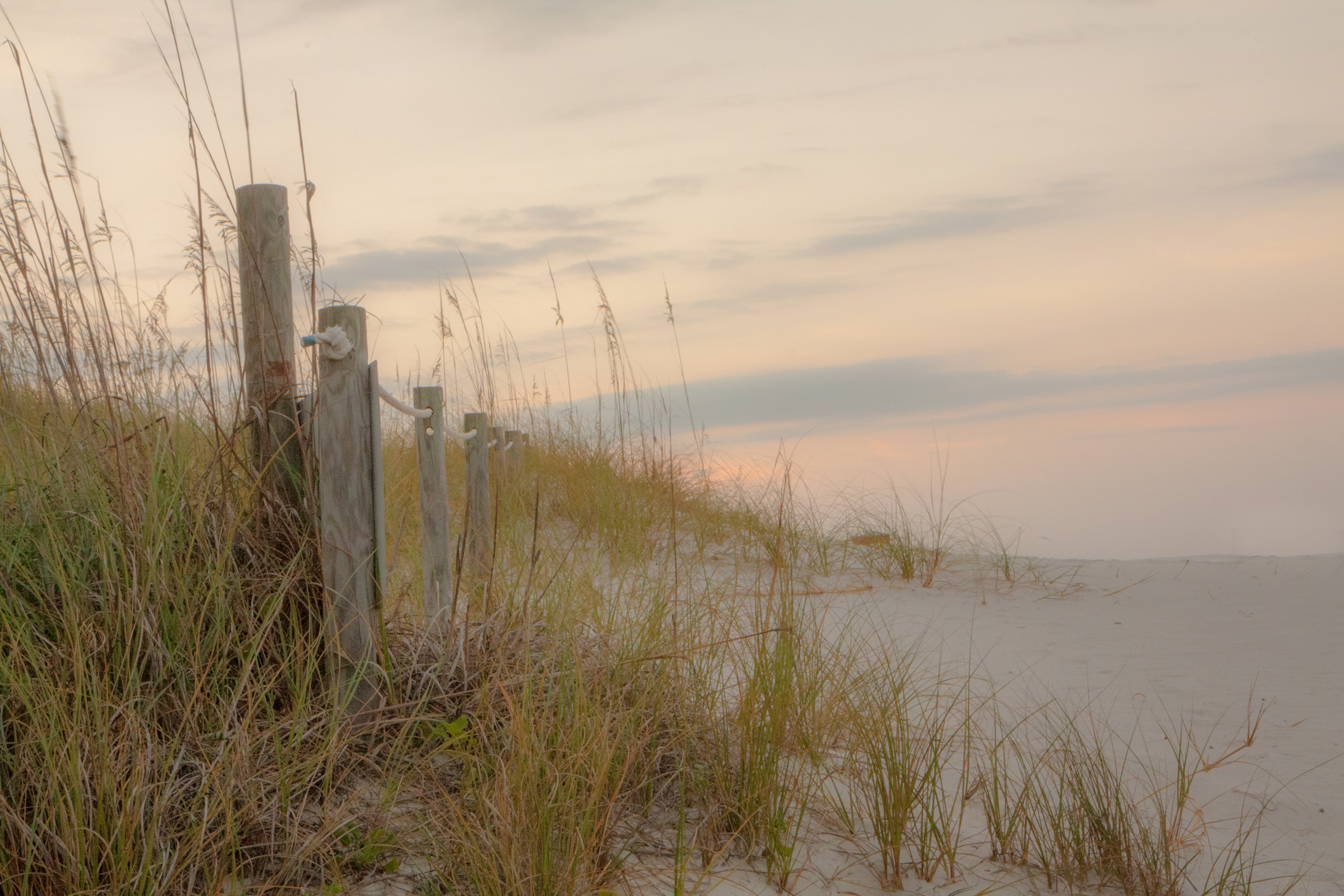 Sea grass and white sand on the beaches of Pensacola Not So SAHM