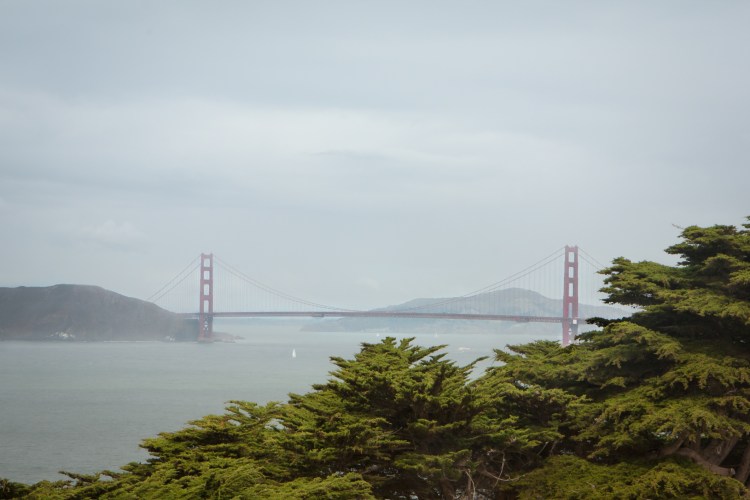 The Golden Gate Bridge sits in haze behind some trees in the foreground. NotSoSAHM