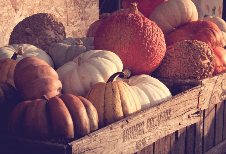 Various gourds, some with bumps, fill a wooden orchard container. Not So SAHM