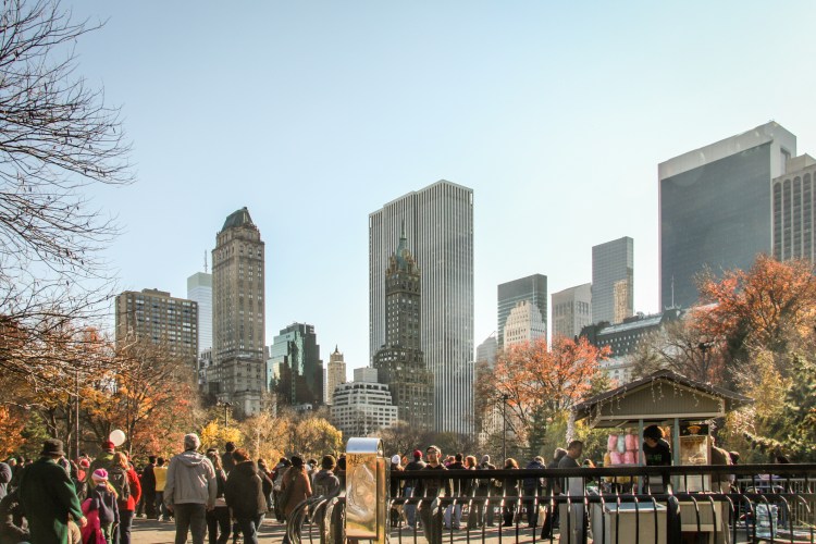 Tall buildings pose as the backdrop to Central Park. Not So SAHM