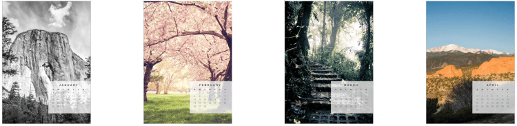 screen-shot-2016-11-21-at-7-37-37-am